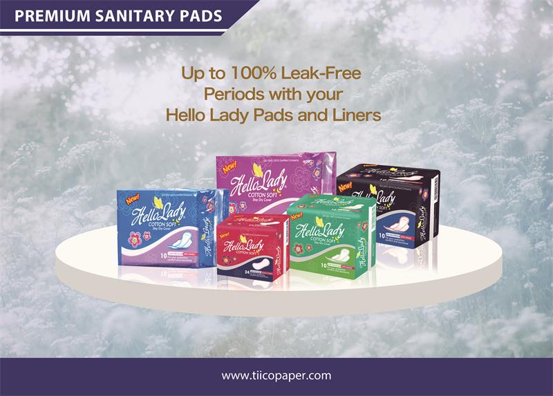 Hello Lady 240mm Maxi Sanitary Pads