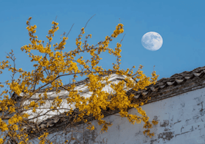 Aviso de vacaciones del Festival del Medio Otoño