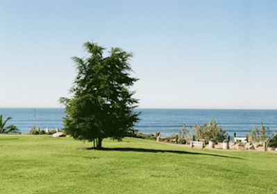 Aviso de feriado del Primero de Mayo